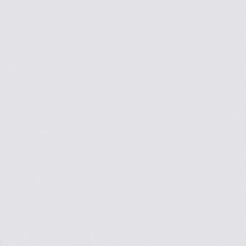 NEVADA_IC Светло-беж. 590х590  н/п _ 1 \37,5948  5959191021