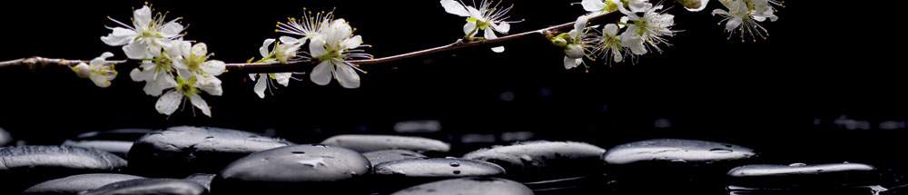 Панель стеновая  SP067  Черные камни с веткой  2800*600*6мм