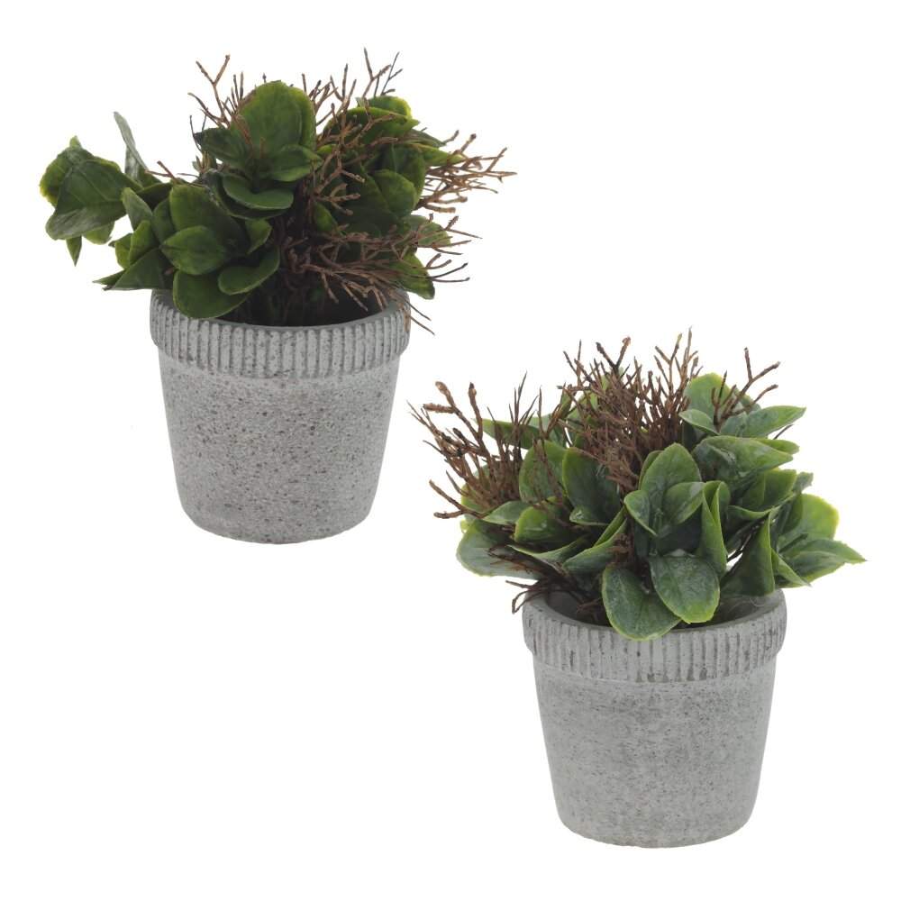 REMECO COLLECTION Композиция цветочная 797772 11х11х16см