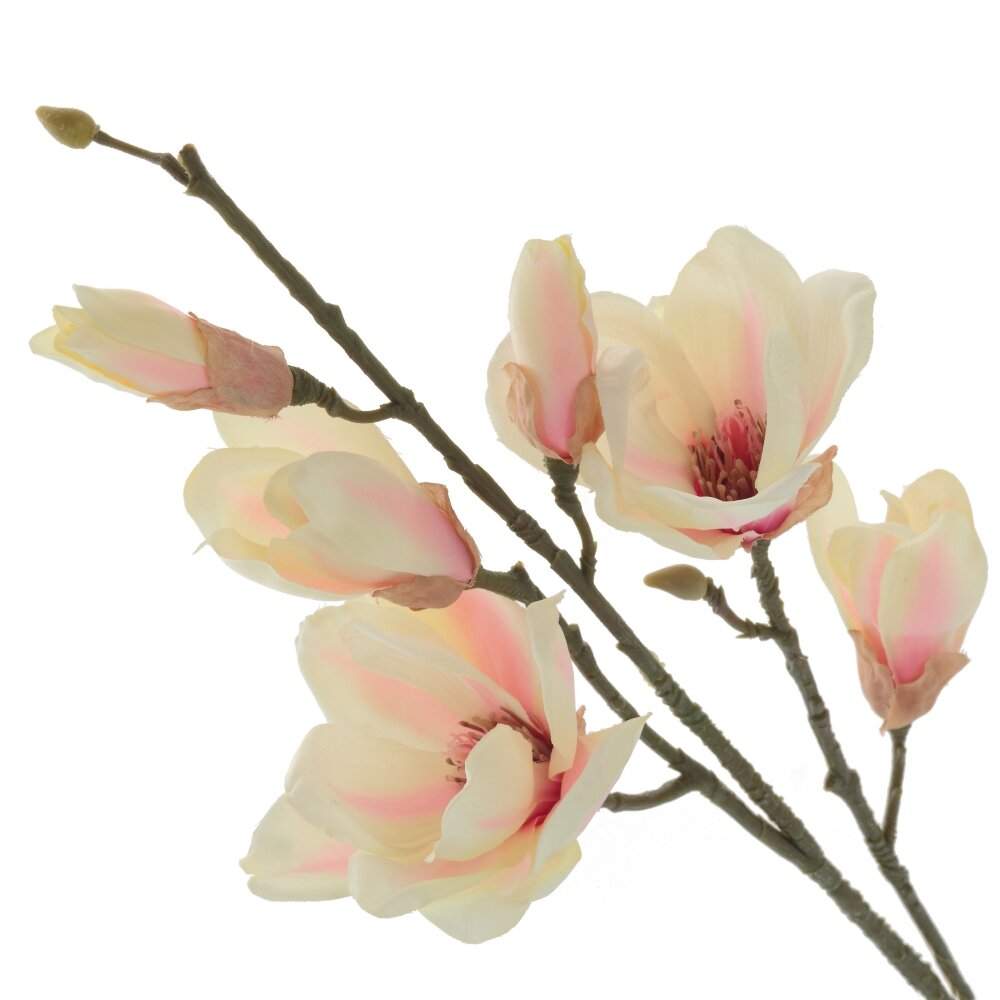 REMECO COLLECTION Цветок 795133 Магнолия 24х14х80см