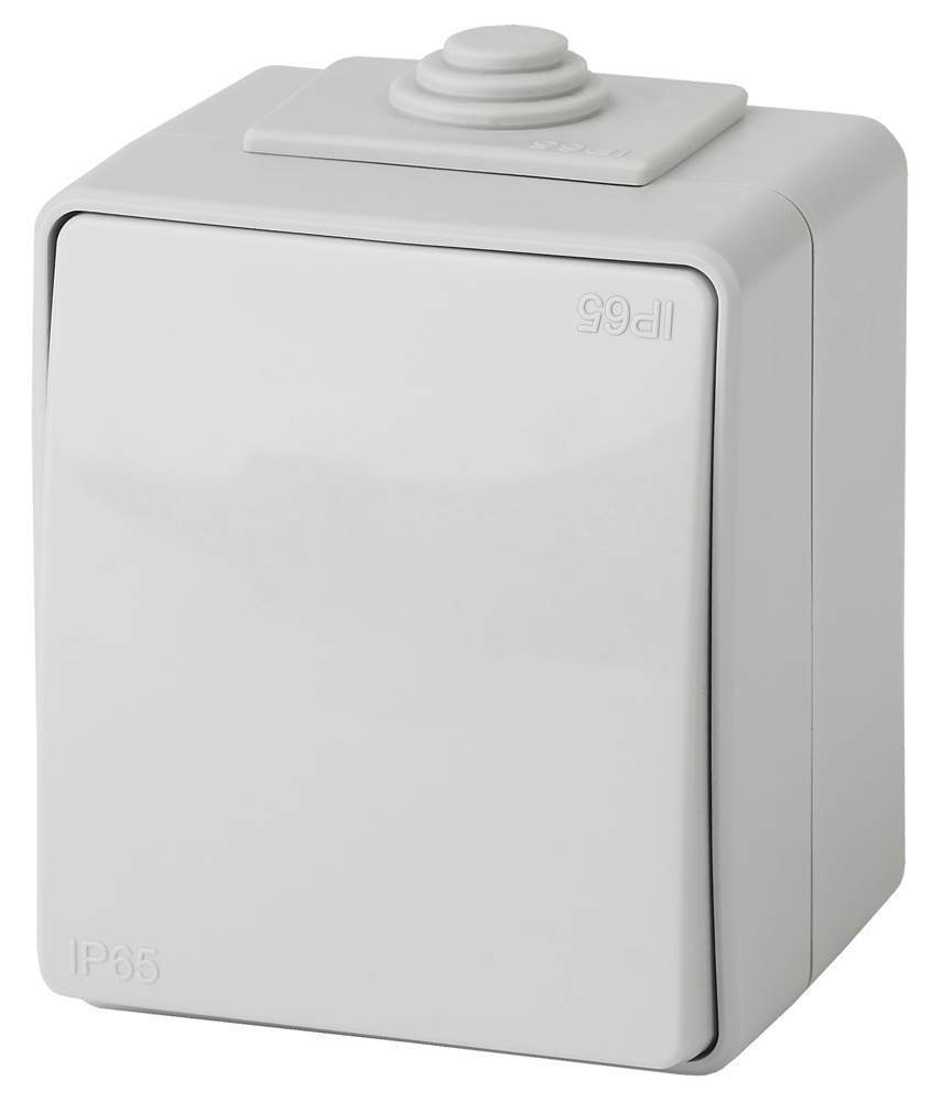Выключатель ЭРА IP65 10АХ-250В ОУ Эра Эксперт 11-1601-03 серый