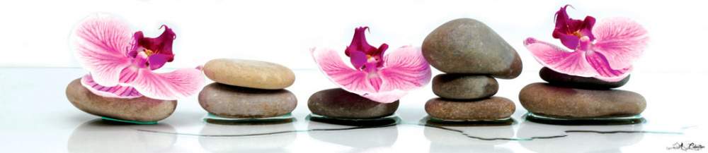 Панель стеновая  SP034  Орхидея на камнях  2800*610*6мм