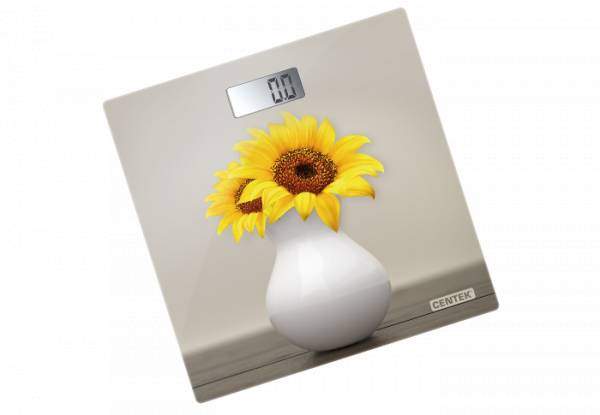 Весы Centek CT-2428 напольные  Sunflower