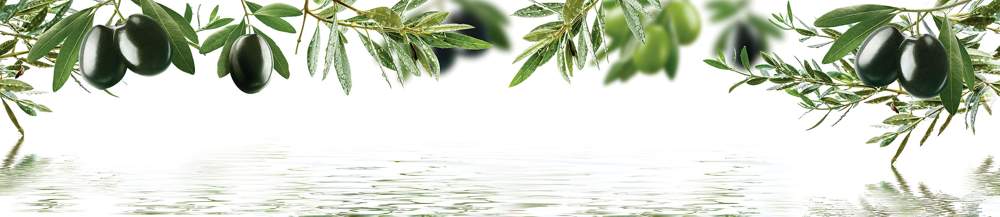 Панель стеновая  SP152   2800*610*6мм