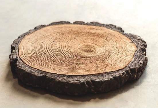 Пеньки большие  d.44,5см  плитка тротуарная 