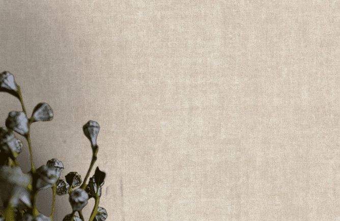 1301UR (GD)  обои Бельгия / Universe