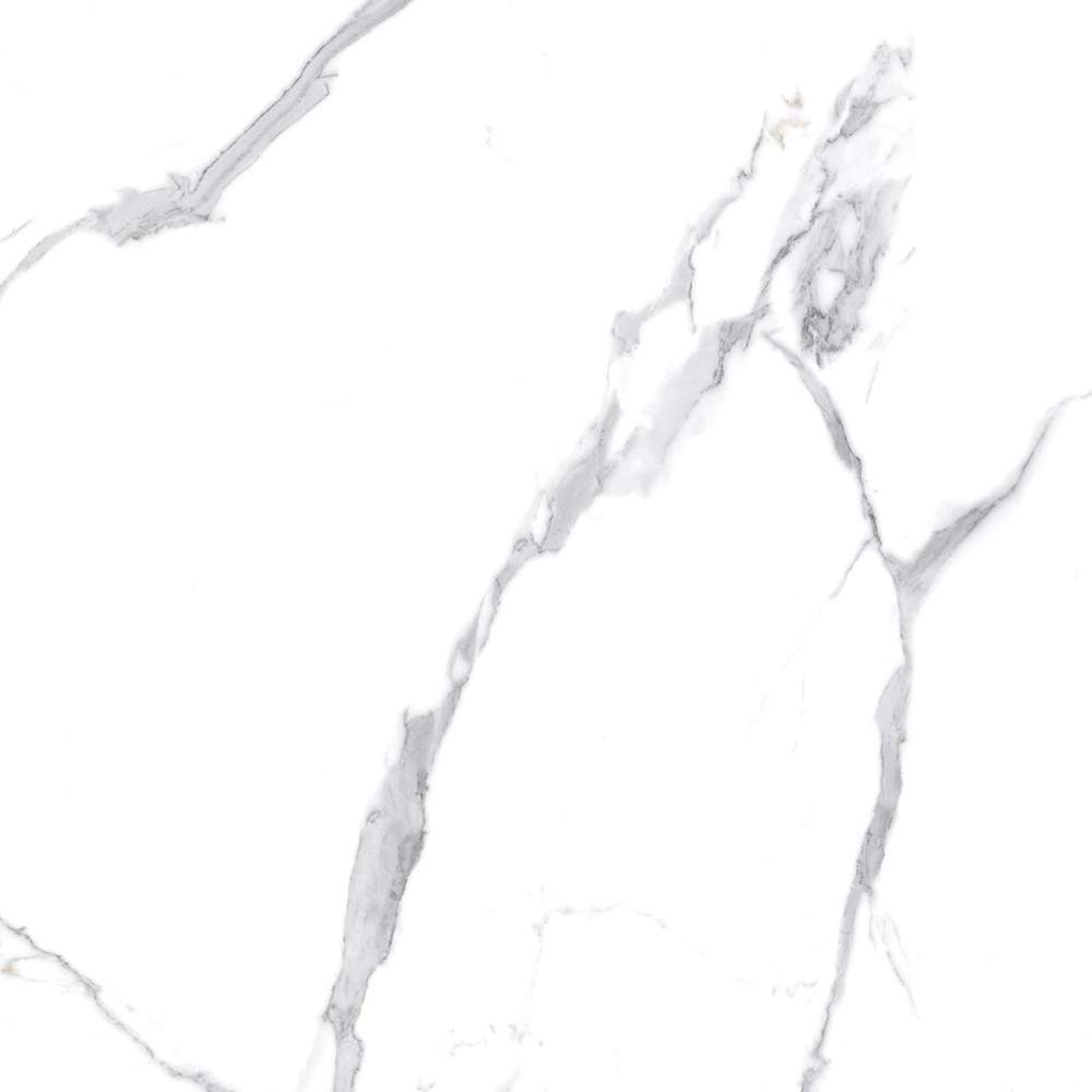 Calacatta Splendid Silver Керамогранит белый 800х800 полированный