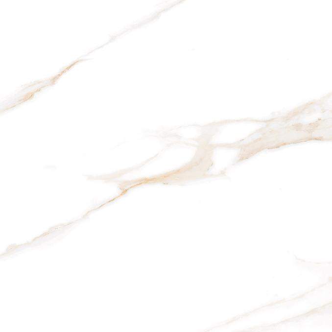 Calacatta Regal Gold Керамогранит белый 600х600 Полированный