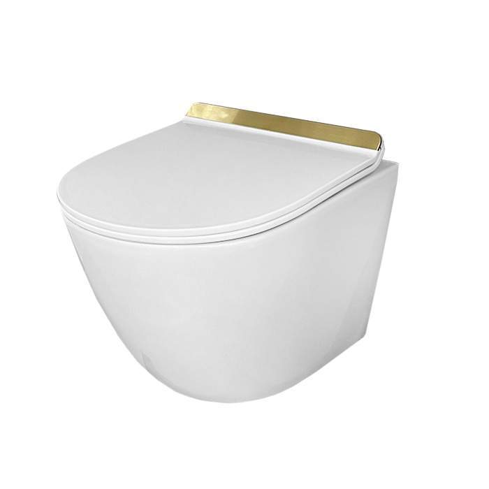 Унитаз DOLA Rimless подвесной с сиденьем полипропилен белый/зол. полоса DOLA 026