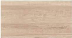 Nature Ash 300х600