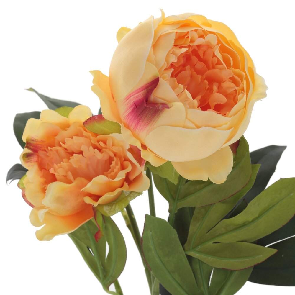 REMECO COLLECTION Цветок 797196 Пион L20 W20 H65см 