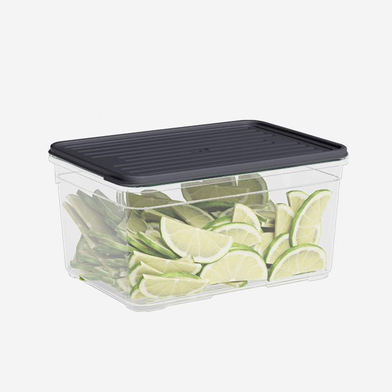 DUNYA PLASTIK Лоток 922 с крышкой 2100мл микс 140х200х105мм