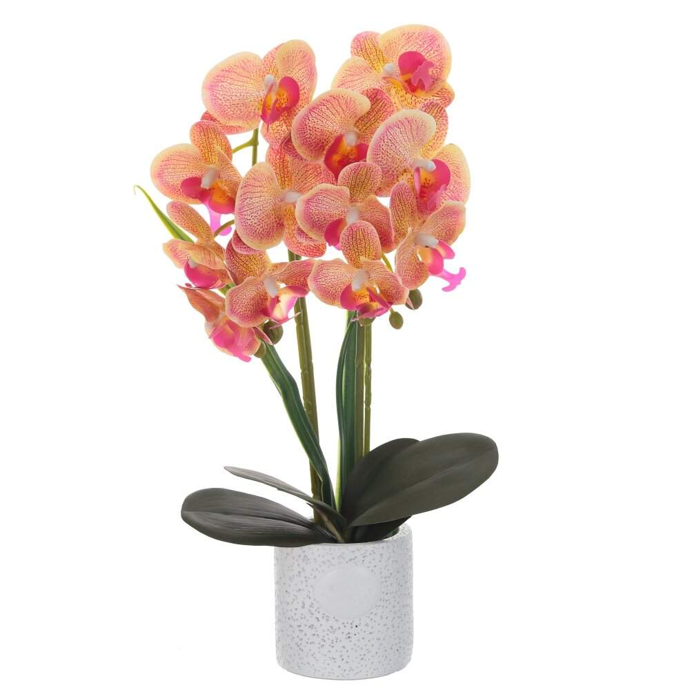 REMECO COLLECTION Композиция цветочная 785698 Орхидея L20 W20 H50см