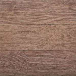Aragon natural PG 01 450х450 1с