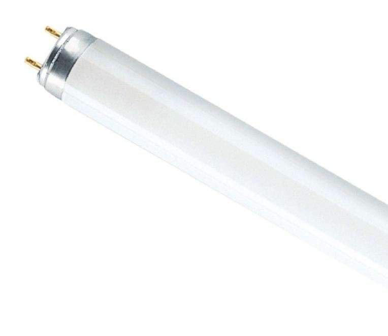 Лампа OSRAM L  36W/840  G13  белая  58142