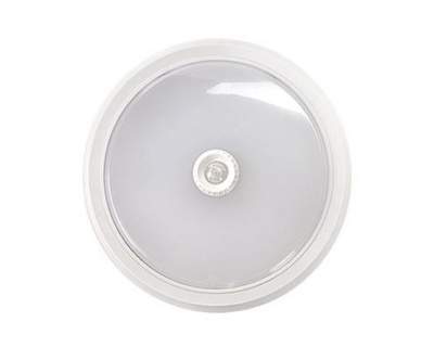 Св-к с/д СПБ-2Д-круг 24Вт 230В 4000K 1700Лм 310мм белый IN HOME