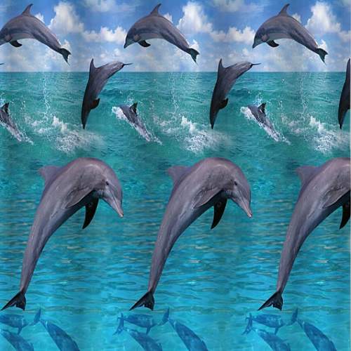 Штора д/ванной без колец 01-59  Дельфины в Океане Санакс