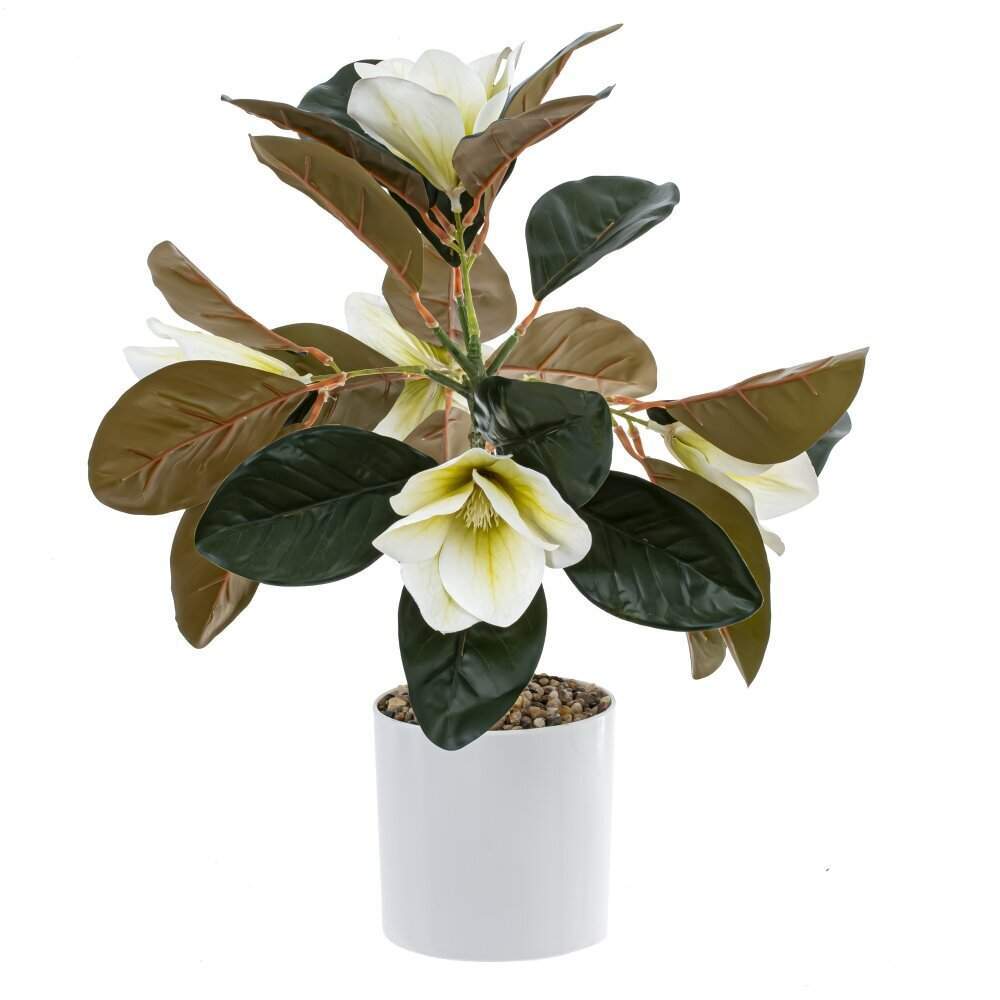 REMECO COLLECTION Композиция цветочная 814013 Магнолия 44х44х47см