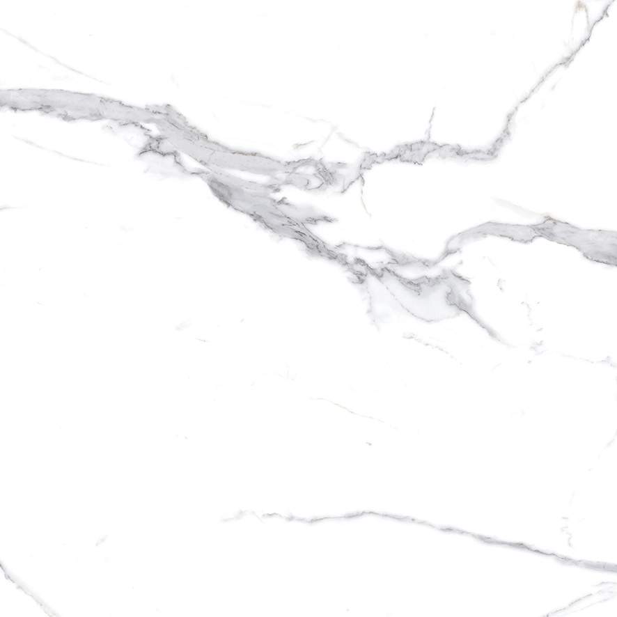 Calacatta Splendid Silver Керамогранит белый 600х600 Матовый
