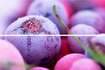 Beveled Tile Frozen berries, 200х300 Панно из 2 плиток TD-BT-P-FB