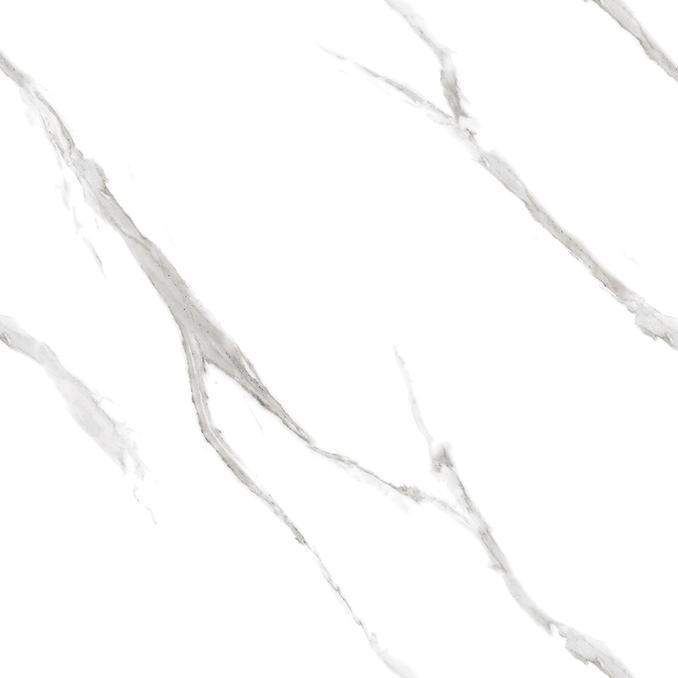 Calacatta Pleasant Керамогранит белый 600х600 Полированный