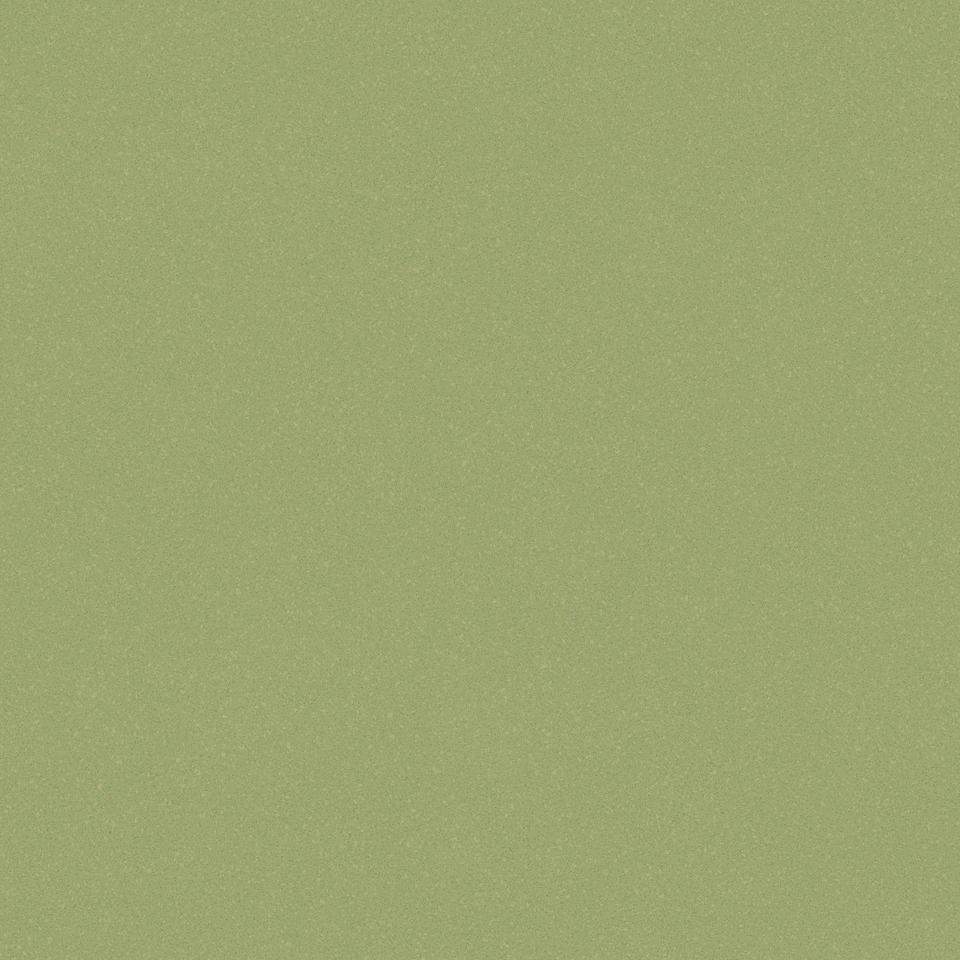 Линолеум  3,0м  ACCZENT PRO Aspect 9