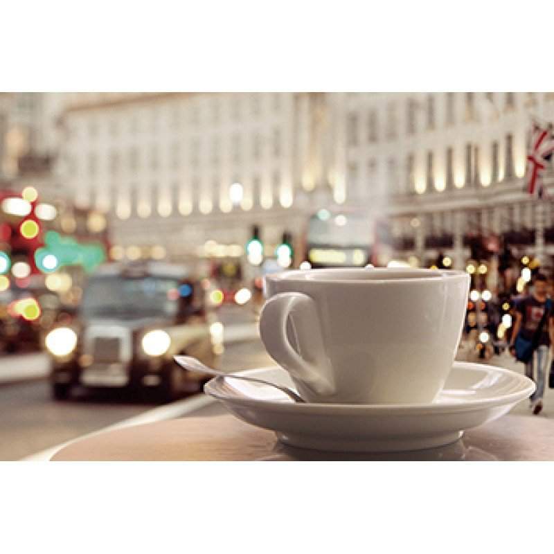 Декор D2  Travel cup  D2D249  200х300