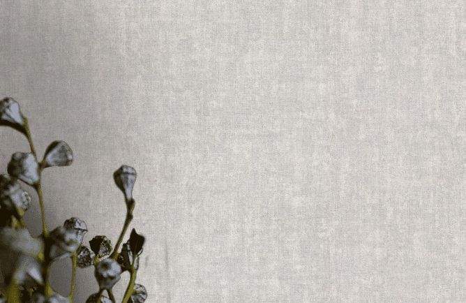 1323UR (GD)  обои Бельгия / Universe