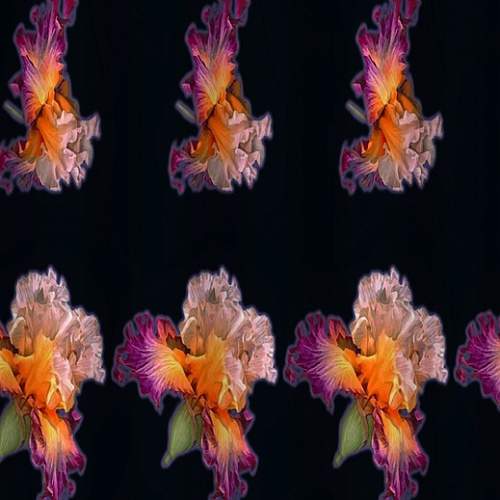 Штора д/ванной без колец 01-61  Цветы Санакс