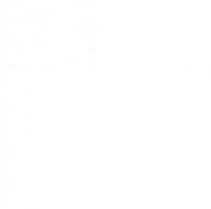 Панель  1110/S  Белый матовый  3000х600х6