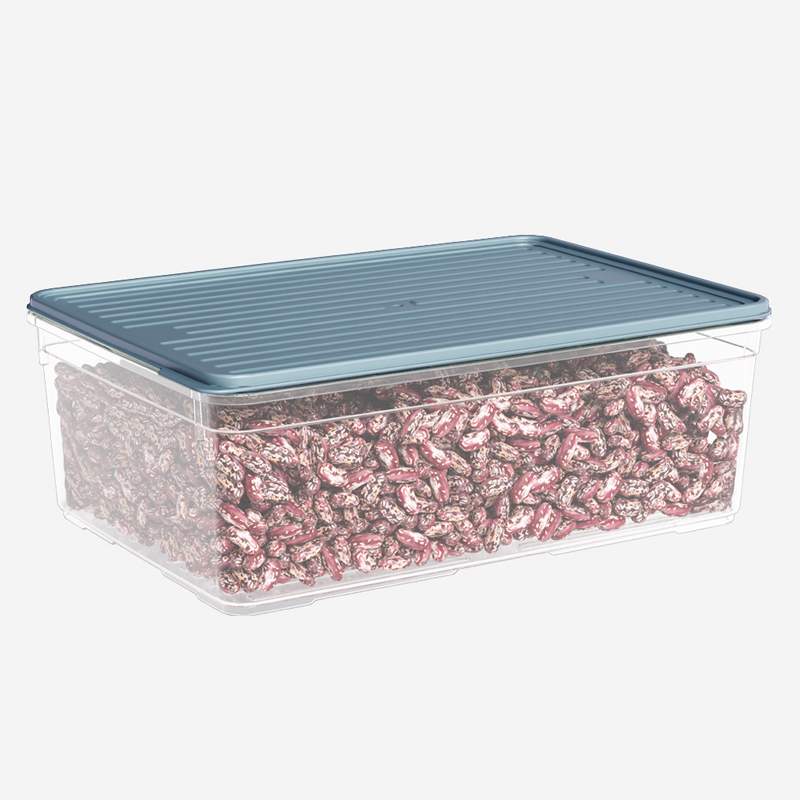 DUNYA PLASTIK Лоток 932 с крышкой 4300мл микс 195х295х105мм