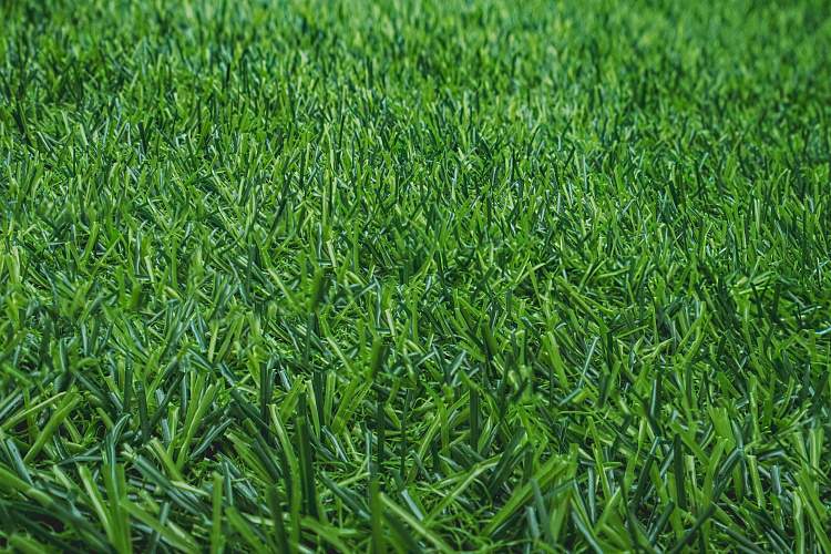 Трава Grass Dream Floor  1,5м 105120-30 20mm 