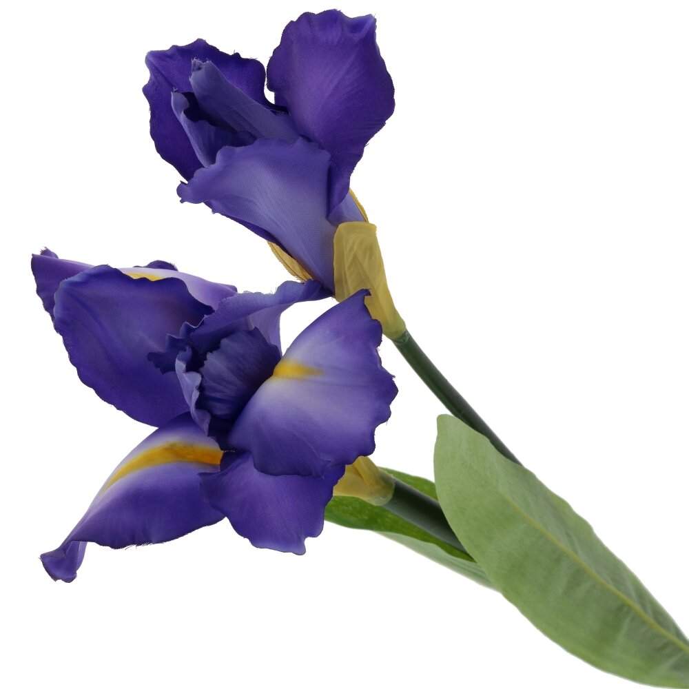 REMECO COLLECTION Цветок 795136 Ирис L20 W10 H96см