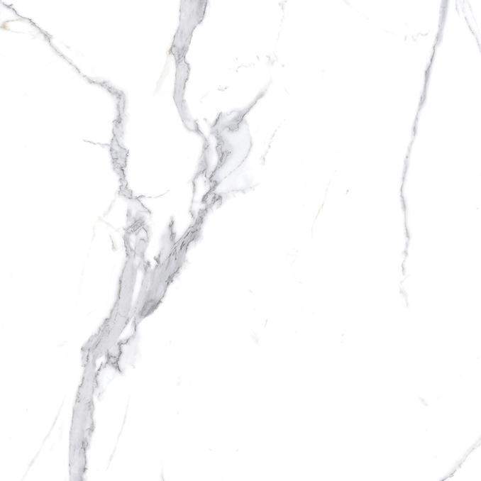 Calacatta Splendid Silver Керамогранит белый 600х600 Полированный