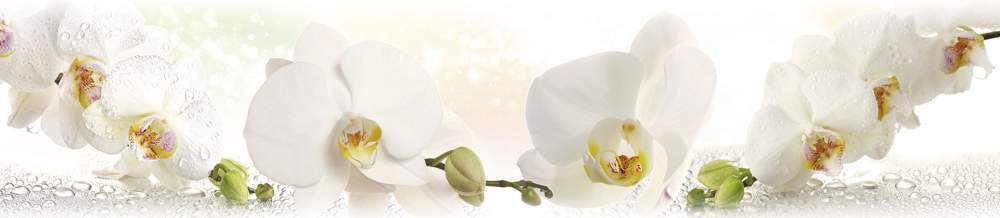 Панель стеновая  SP215   2800*610*6мм