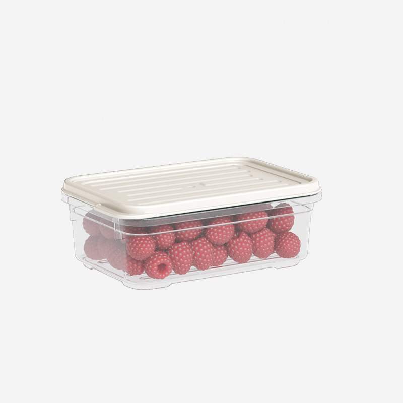 DUNYA PLASTIK Лоток 910 с крышкой  500мл микс 95х150х55мм