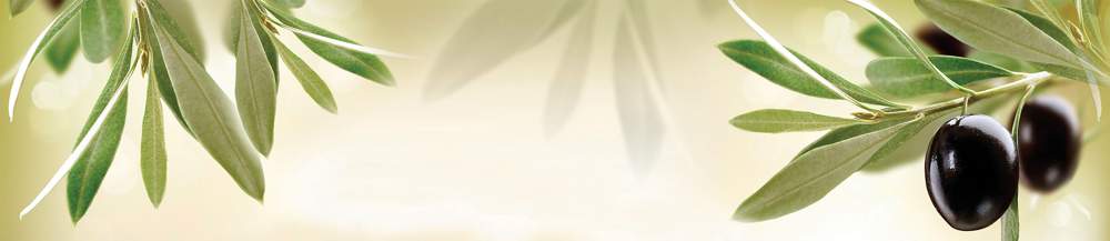 Панель стеновая  SP154   2800*610*6мм