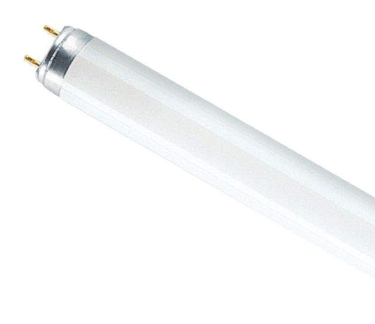 Лампа OSRAM L  36W/840  G13  белая  581419