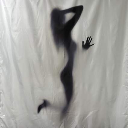 Шторка BRIMIX  фотопечать ТЕНЬ в ванную 02-27