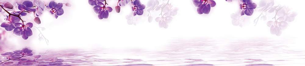 Панель стеновая  SP151   2800*610*6мм