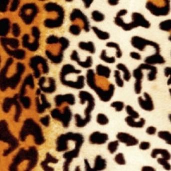 Коврик  Африка 100х150 арт 05 Леопард  3298