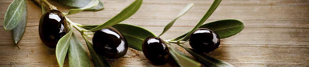 Панель стеновая  AF 59   2800*610*6мм (4 оливы)