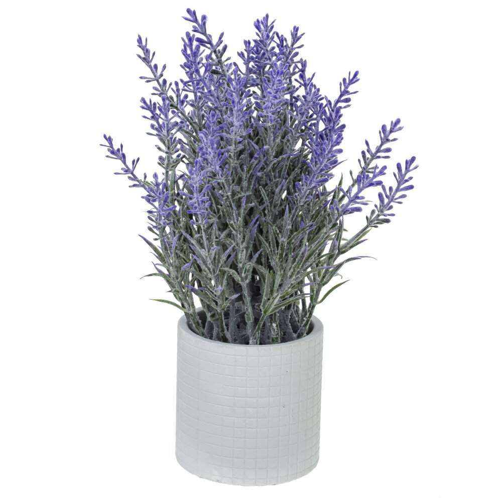 REMECO COLLECTION Композиция цветочная 814054 Лаванда 15х15х26см