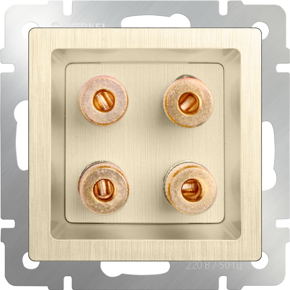 Розетка  Frame акустическая  WL10-AUDIOх4  шампань рифленый  -  W1185010