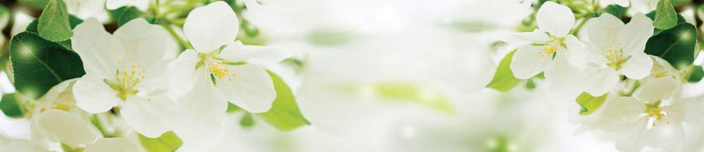 Панель стеновая  SP199   2800*610*6мм