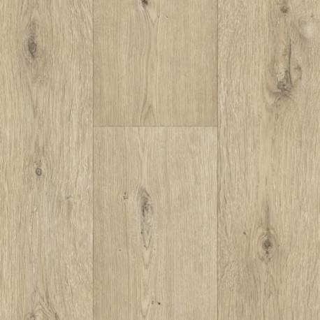Линолеум  2,5  Гринлайн Дуб Белфорт  539