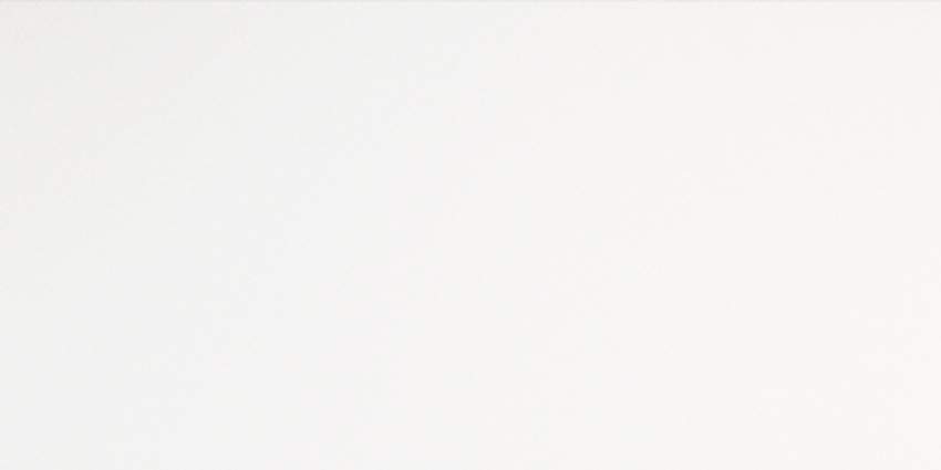 Twin GFU60120WIN00R керамогранит матовый  600х1200 (2 шт в уп/46,08 м в пал)