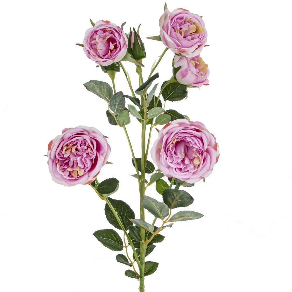 REMECO COLLECTION Цветок 749007 Роза D8 L12 W12 H75см 