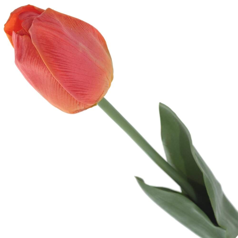 REMECO COLLECTION Цветок 785982 Тюльпан 5х5х52см