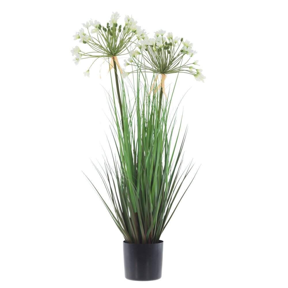 REMECO COLLECTION Композиция цветочная 814478 Агапанус 13х12,5х81см